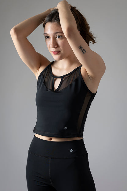 Conjunto mesh